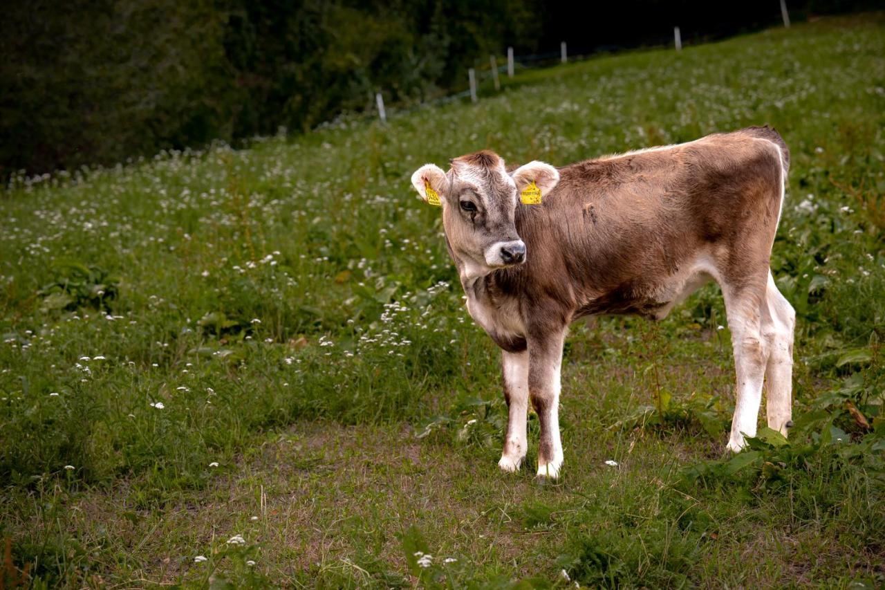 Stillehof - Ferienwohnungen Auf Dem Bauernhof- Suedtirol Брессаноне Екстер'єр фото